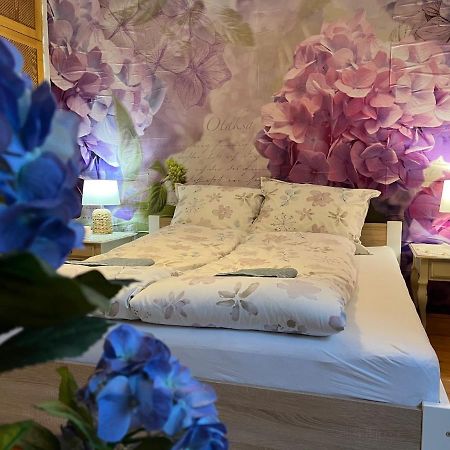 Tulipan Villa Panzio ソルノク エクステリア 写真