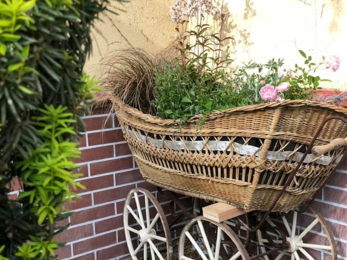 Tulipan Villa Panzio ソルノク エクステリア 写真